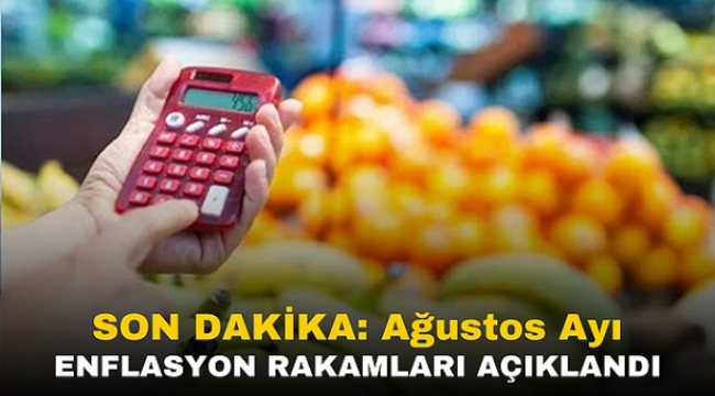 SON DAKİKA: Ağustos Ayı Enflasyon Rakamları Açıklandı 