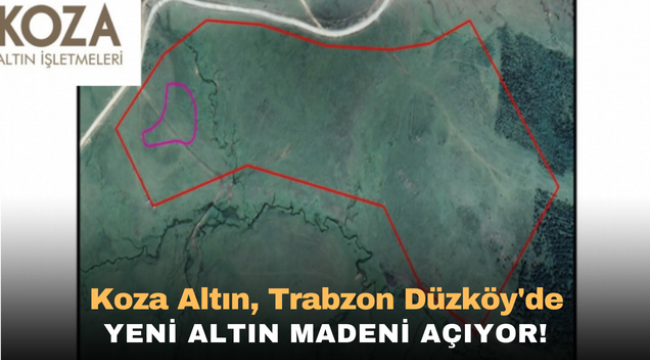 Koza Altın, Trabzon Düzköy'de yeni altın madeni açıyor!