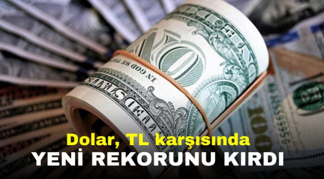 Dolar, TL karşısında yeni rekorunu kırdı