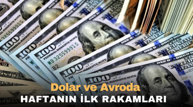 Dolar ve Avroda Haftanın İlk Rakamları 