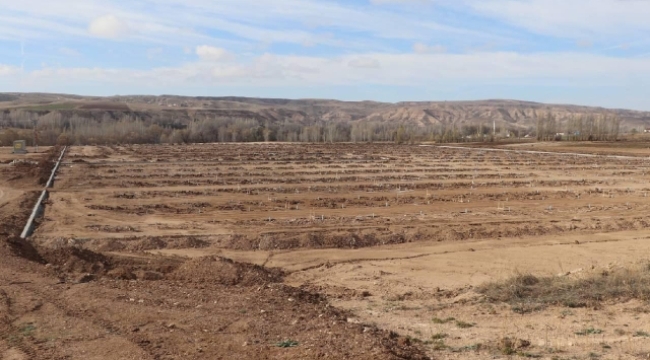 Sivas'ta Yeni Jeotermal Sera İçin Çalışma Başlatıldı 