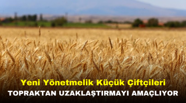 Yeni Yönetmelik Küçük Çiftçileri Topraktan Uzaklaştırmayı Amaçlıyor