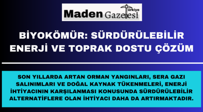 Biyokömür: Sürdürülebilir Enerji ve Toprak Dostu Çözüm