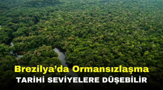 Brezilya'da Ormansızlaşma Tarihi Seviyelere Düşebilir