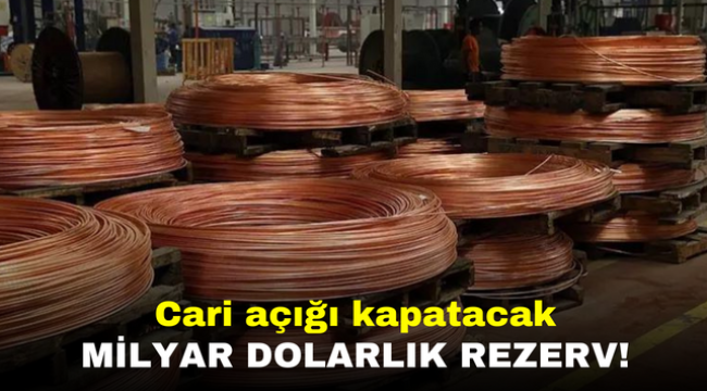 Cari açığı kapatacak milyar dolarlık rezerv!