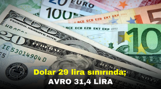 Dolar 29 lira sınırında; avro 31,4 lira