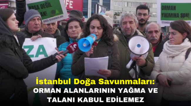 İstanbul Doğa Savunmaları: Orman Alanlarının Yağma Ve Talanı Kabul Edilemez