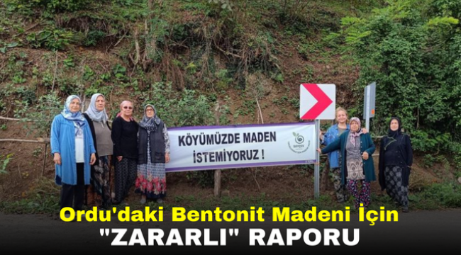 Ordu'daki Bentonit Madeni İçin "Zararlı" Raporu