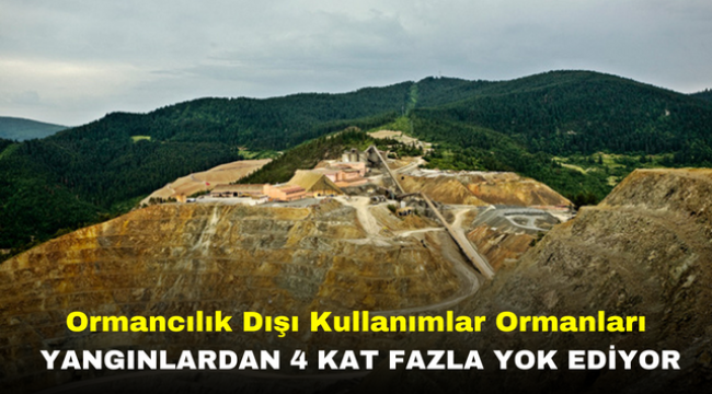 Ormancılık Dışı Kullanımlar Ormanları Yangınlardan 4 Kat Fazla Yok Ediyor