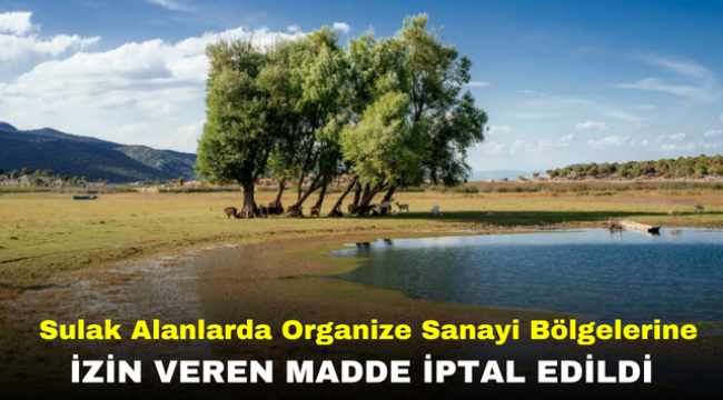 Sulak Alanlarda Organize Sanayi Bölgelerine İzin Veren Madde İptal Edildi