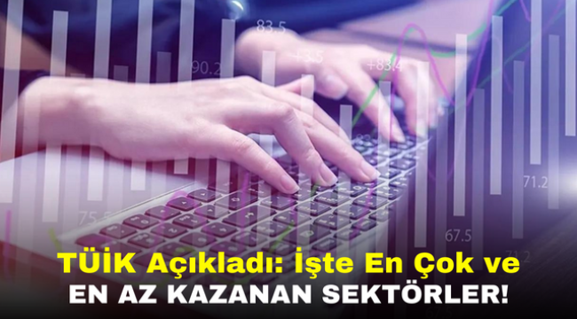 TÜİK Açıkladı: İşte En Çok ve En Az Kazanan Sektörler!