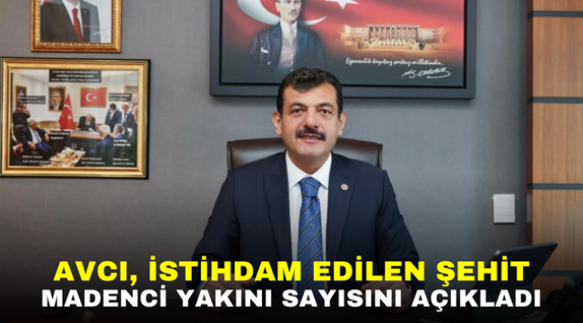 AVCI, İSTİHDAM EDİLEN ŞEHİT MADENCİ YAKINI SAYISINI AÇIKLADI