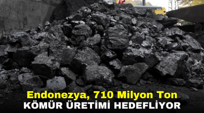 Endonezya, 710 Milyon Ton Kömür Üretimi Hedefliyor 