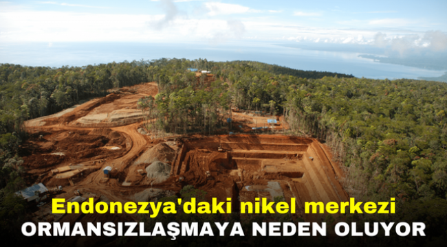 Endonezya'daki nikel merkezi ormansızlaşmaya neden oluyor