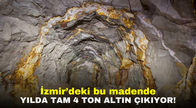 İzmir'deki bu madende yılda tam 4 ton altın çıkıyor!