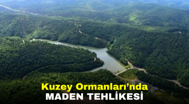 Kuzey Ormanları'nda maden tehlikesi