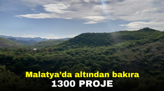 Malatya'da altından bakıra 1300 proje