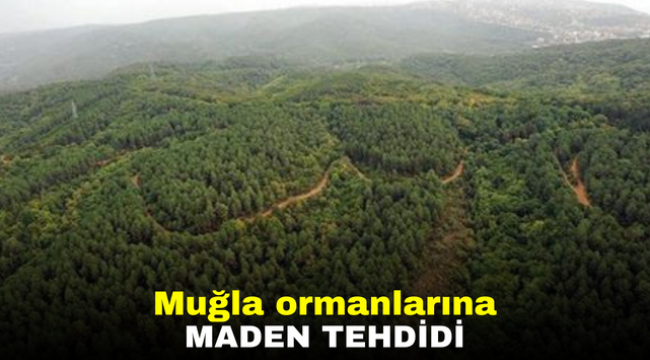 Muğla ormanlarına maden tehdidi