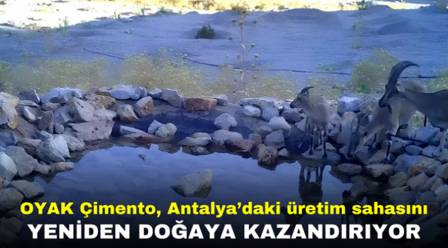 OYAK Çimento, Antalya'daki üretim sahasını yeniden doğaya kazandırıyor