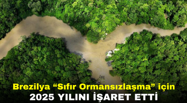 "Sıfır Ormansızlaşma" Için Çabalayan Brezilya, 2025 Yılını Işaret Etti