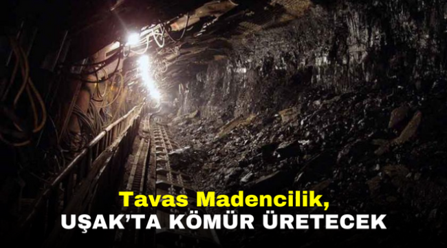 Tavas Madencilik, Uşak'ta kömür üretecek