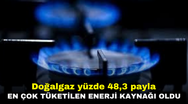 Doğalgaz yüzde 48,3 payla en çok tüketilen enerji kaynağı oldu