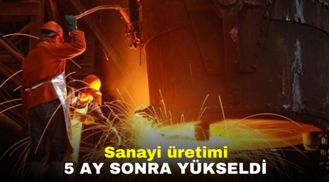 Sanayi üretimi 5 ay sonra yükseldi