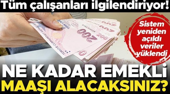 Tüm çalışanları ilgilendiriyor! Ne kadar emekli maaşı alacaksınız? 