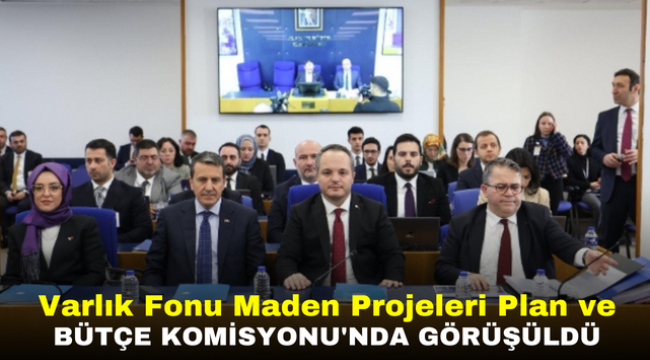 Varlık Fonu Maden Projeleri Plan ve Bütçe Komisyonu'nda Görüşüldü