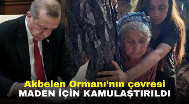 Akbelen Ormanı'nın çevresi maden için kamulaştırıldı