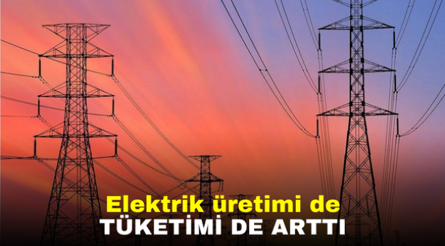 Elektrik üretimi de tüketimi de arttı