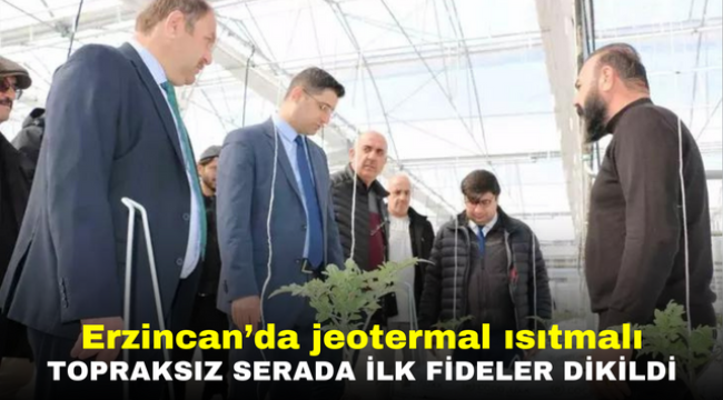 Erzincan'da jeotermal ısıtmalı topraksız serada ilk fideler dikildi