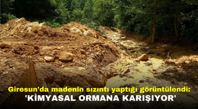 Giresun'da madenin sızıntı yaptığı görüntülendi: 'Kimyasal ormana karışıyor'