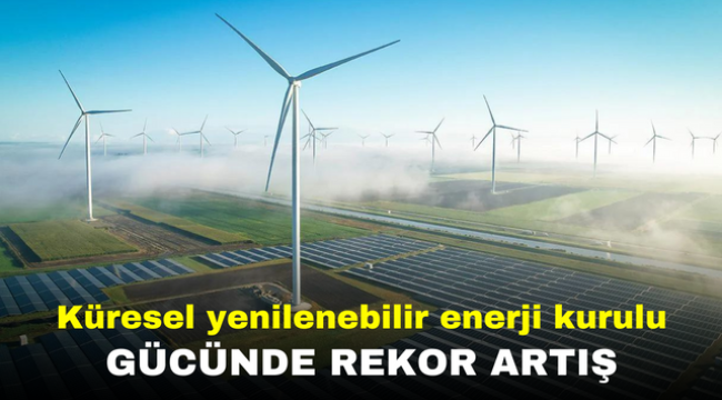 Küresel yenilenebilir enerji kurulu gücünde rekor artış