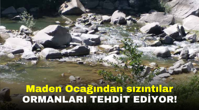 Maden Ocağından sızıntılar ormanları tehdit ediyor!