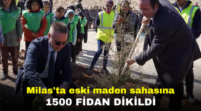 Milas'ta eski maden sahasına 1500 fidan dikildi