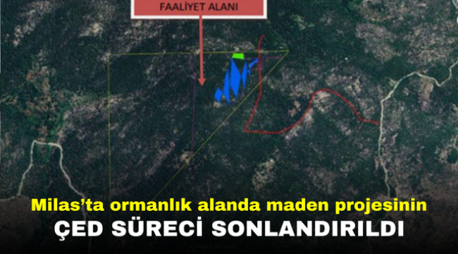 Milas'ta ormanlık alanda maden projesinin ÇED süreci sonlandırıldı