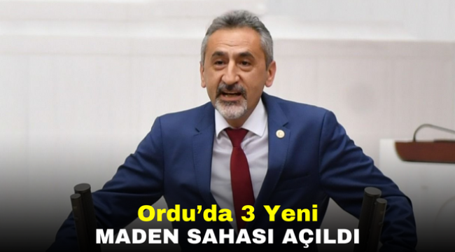 Ordu'da 3 Yeni Maden Sahası Açıldı