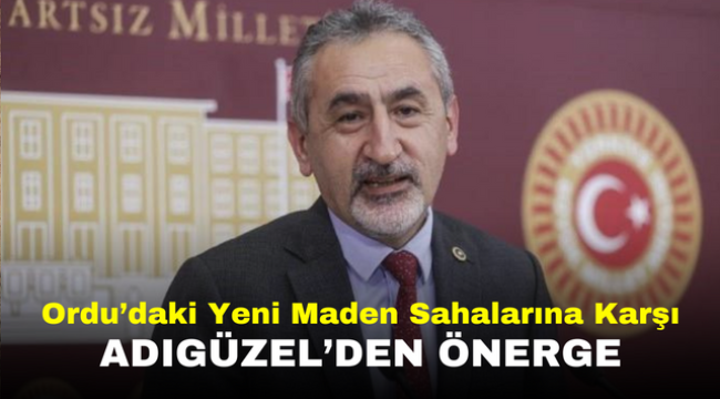 Ordu'daki Yeni Maden Sahalarına Karşı Adıgüzel'den Önerge