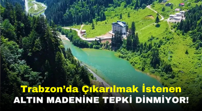 Trabzon'da Çıkarılmak İstenen Altın Madenine Tepki Dinmiyor!