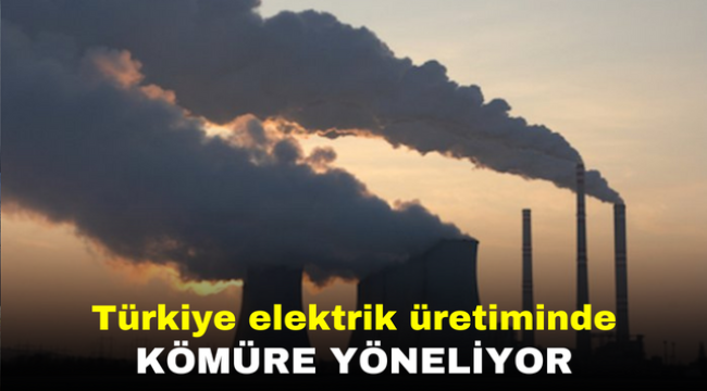 Türkiye elektrik üretiminde kömüre yöneliyor