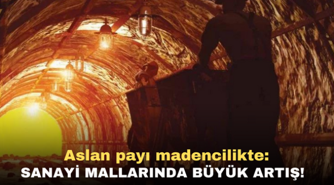 Aslan payı madencilikte: Sanayi mallarında büyük artış!