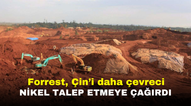 Forrest, Çin'i daha çevreci nikel talep etmeye çağırdı