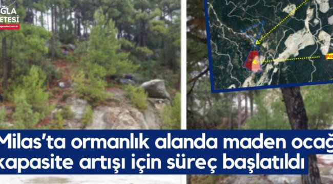 Milas'ta ormanlık alanda maden ocağı kapasite artışı için süreç başlatıldı