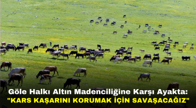 Göle Halkı Altın Madenciliğine Karşı Ayakta: "Kars Kaşarını Korumak İçin Savaşacağız"