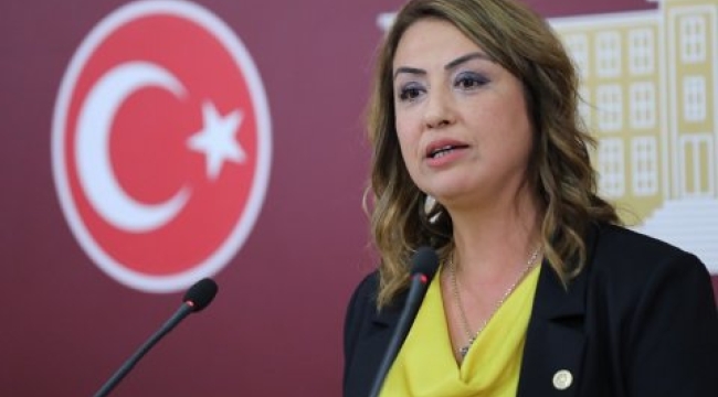 CHP'li Kara: Hatay'ın her bir ilçesinde sayısız taş ve maden ocağı açılıyor