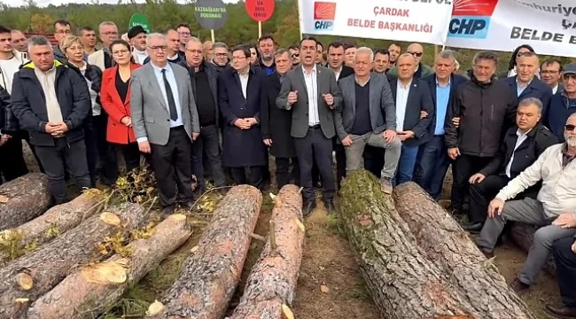 CHP'li Adem Cengiz Holding'in maden projesi için ağaç kesimine tepki gösterdi