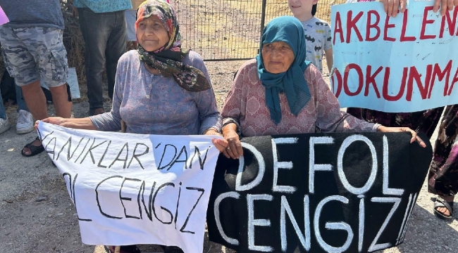 Kaz Dağları'nda Cengiz Holding'in açmak istediği maden projesi için yürütmeyi durdurma kararı çıktı